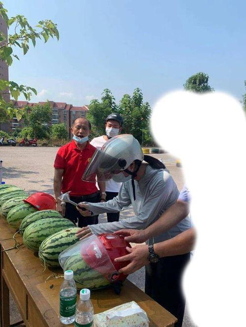 哈尔滨最新吃瓜事件,揭秘网络热议背后的真相