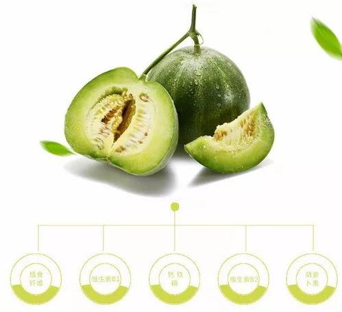 山西经贸吃瓜,揭秘吃瓜群众的趣味生活