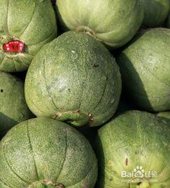 角瓜甜瓜怎么吃,探索美味新境界