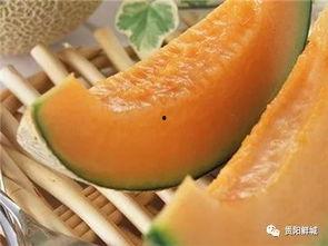 农民吃哈密瓜图片,农民丰收喜悦的哈密瓜时刻