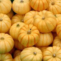 寿光桔瓜怎么吃,解锁美味新体验