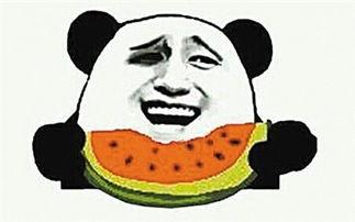 瓜哥带你吃瓜奇葩滑梯,奇趣滑梯大揭秘