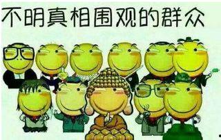 吃瓜群众pd,揭秘网络红人的幕后故事