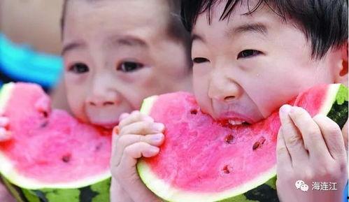 吃瓜季节推荐,解锁清凉一夏的甜蜜诱惑