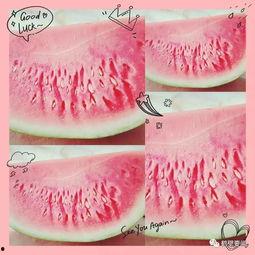 鹤壁市吃瓜,瓜果飘香，品味生活新滋味