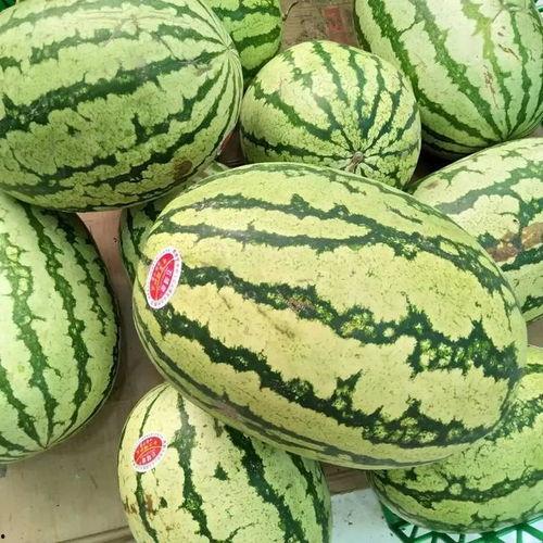 瓜越吃越好吃,探寻越吃越美味的奥秘