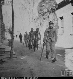 军官记者吃瓜,揭秘军营里的趣味故事