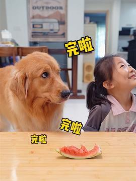 狗狗和小孩吃瓜,狗狗与小孩共享甜蜜时光
