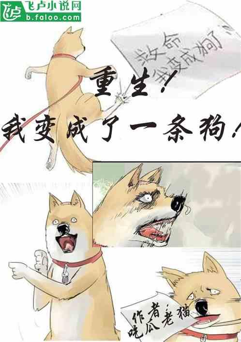 吃瓜吃死了小说免费阅读,揭秘网络小说中的惊悚食瓜事件