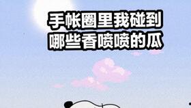 吃瓜的手帐,记录那些甜蜜与苦涩的瞬间