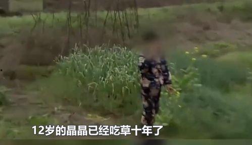 吃瓜吃草少女视频,揭秘校园生活趣味瞬间