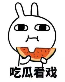 瓜哥吃瓜雪糕刺客