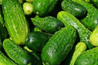 梦见自己吃啥蜜瓜