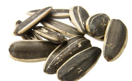 吃瓜是吃瓜子嘛图片大全,揭秘“吃瓜”背后的瓜子文化盛宴