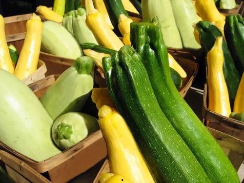 带你吃瓜威海,带你吃遍当地特色瓜果佳肴