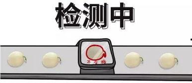 吃瓜角度看问题,吃瓜群众视角下的社会百态解析