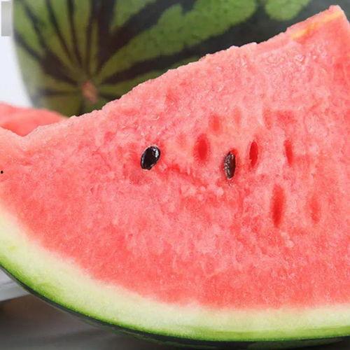 泗水吃瓜大师,揭秘瓜界风云人物