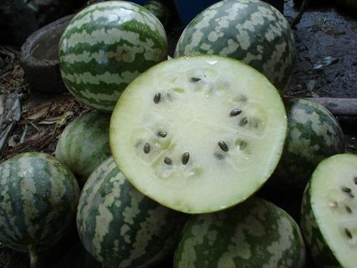 这什么瓜怎吃,轻松掌握各类瓜果美味吃法