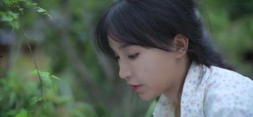 吃瓜喷李子柒,吃瓜群众热议，网络喷子与美食文化的碰撞