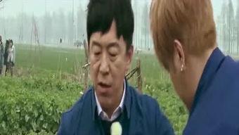 庆儿吃瓜后续,真相大白，网友热议不断