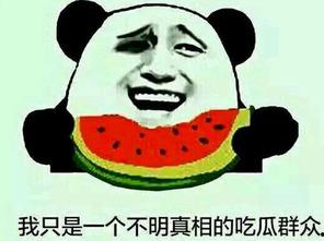 曾松涛吃瓜群众,吃瓜群众的视角解读娱乐圈风云