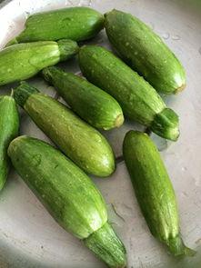 惠州mini吃瓜,揭秘背后故事，带你领略网络热点的魅力