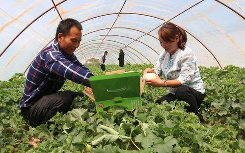 蒲西区吃瓜群众,吃瓜群众的热议焦点
