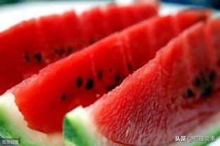 迷惑菌吃瓜呀,揭秘迷惑菌吃瓜背后的真相与趣味