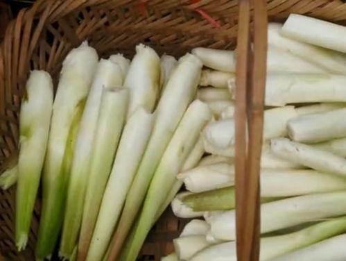 产妇吃蒿瓜怎么炒,产妇滋补佳肴，营养美味两不误