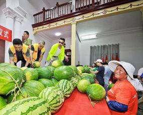 人间吃瓜,揭秘娱乐圈的甜蜜与苦涩