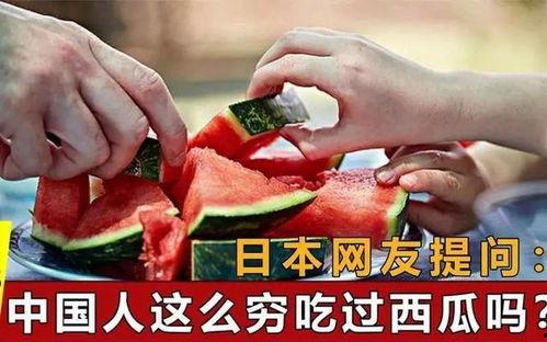 中国吃瓜群众在国外吃瓜