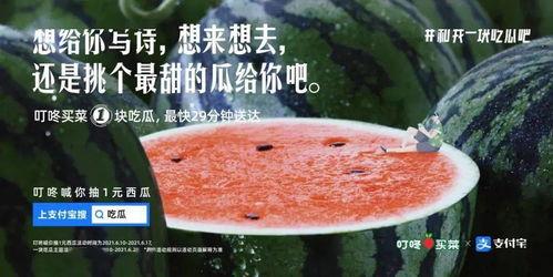 看吃瓜文案,揭秘娱乐圈那些鲜为人知的幕后故事