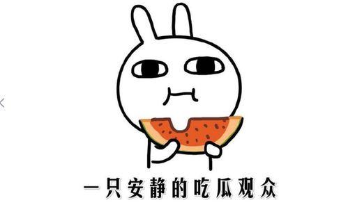 光头吃瓜的含义,揭秘网络热词背后的趣味与内涵