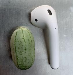 吃瓜耳机,潮流与科技的完美融合